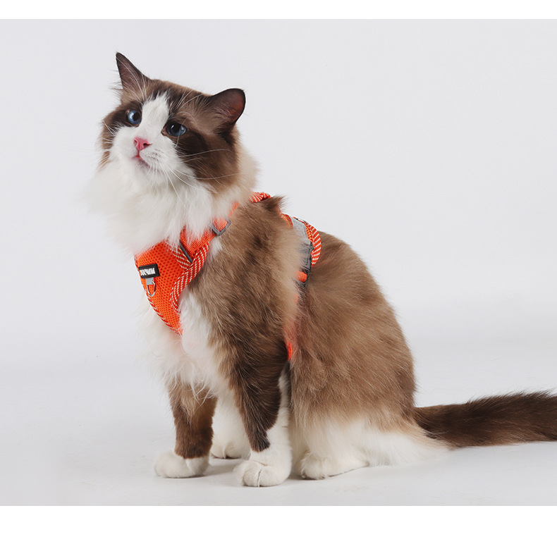 Pet Harness And Leash Set For Cats And Dogs Lightweight Vest_voghion.com