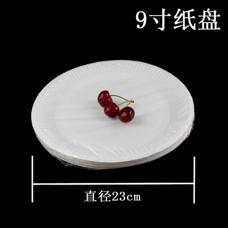 Placa de papel de 9 pulgadas desechable degradable placa redonda postre Placa de pastelería Placa de barbacoa Placa de pintura Placa de papel