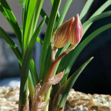 ɏ���m  �ɰ� �t�� �����m��������