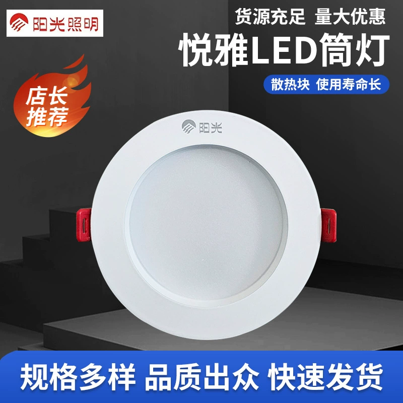 Светодиодная потолочная лампа Sunshine Lighting, точечное освещение, свет для гостиной, китайский стиль