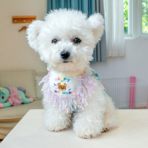 Dog and cat saliva scarf, bear birthday bib, scarf, puppy, cat scarf, triangle scarf, small dog neck cover