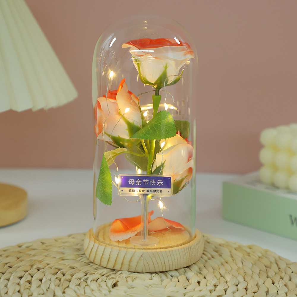 Fábrica al por mayor Flor eterna Cubierta de vidrio Clavel Caja de regalo Flor simulada Decoración de escritorio Día de la madre Regalo para mamá