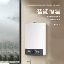 燃气锅炉;家用采暖炉;蒸汽发生器