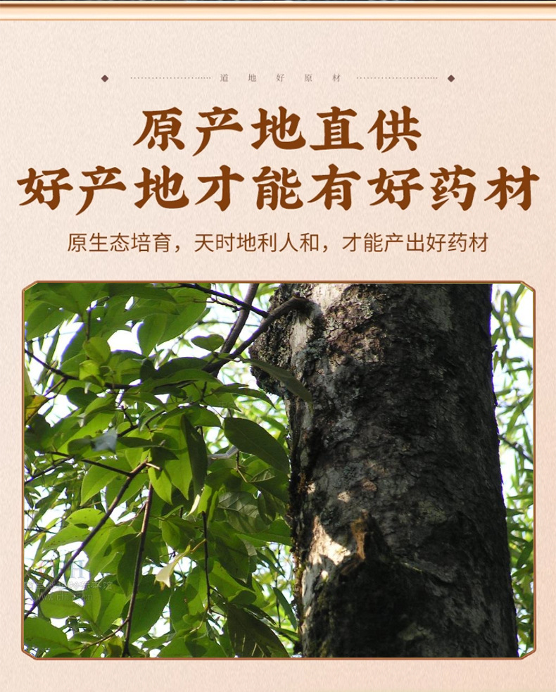 Ban Feng He Dried Root Slices Half Maple Lotus Root Traditional TCM Herb 500g Bag key features