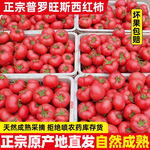 ��5������Ȼ������˹��ˮ��������ɽ��������9¶��ɳȿ��