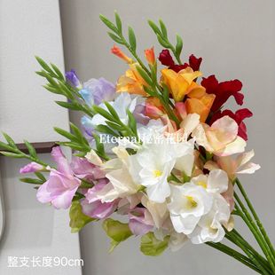 ܛ�z���m�����滨���l��֦���Ĕ[���߼�����ػ�ˇ�廨�����ٻ�