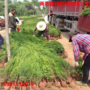 ���l�u�ؘ� ���ٹ�·���̾G���ɰؘ�����u��A�ؘ���1-6�׸�