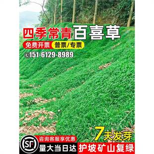 ��ϲ�ݲ��ь��~ȸ�ތ��~�ݶ������o�¹����Vɽ�;G�ͺ��͟�ݷN��