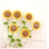 1st sunflower 1 branch