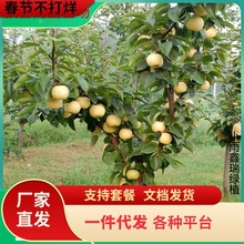 һ�����l�������玧�����������Ӽ޽����Ϸ�����ɳ�������ڻ�