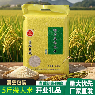 �a��ֱ�l�|���峣��������5��һ���_�I��Ӱ��ֶYƷ2������b����