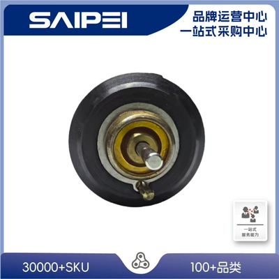 Thermostat Volkswagen Tiguan New Pamaite