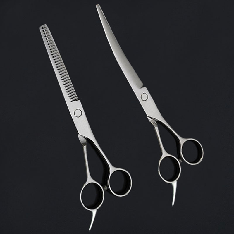 9e85a375-347d-40a2-8224-3e1f113ae3e0.jpe