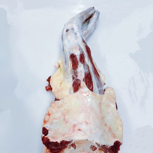 ���a���������ţϵ��ţβ����ţβ