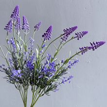 ���滨޹�²� 6�^�Ҹ�޹�²���β���bҾ�ܛ�b��ˇ�廨�[���羳