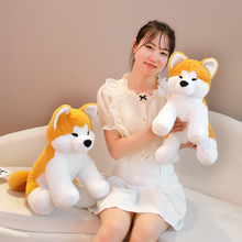 �ɐ۷�����������Ȯ����ë�q���С������Ȯ��ż��ͯ���᲼ż����