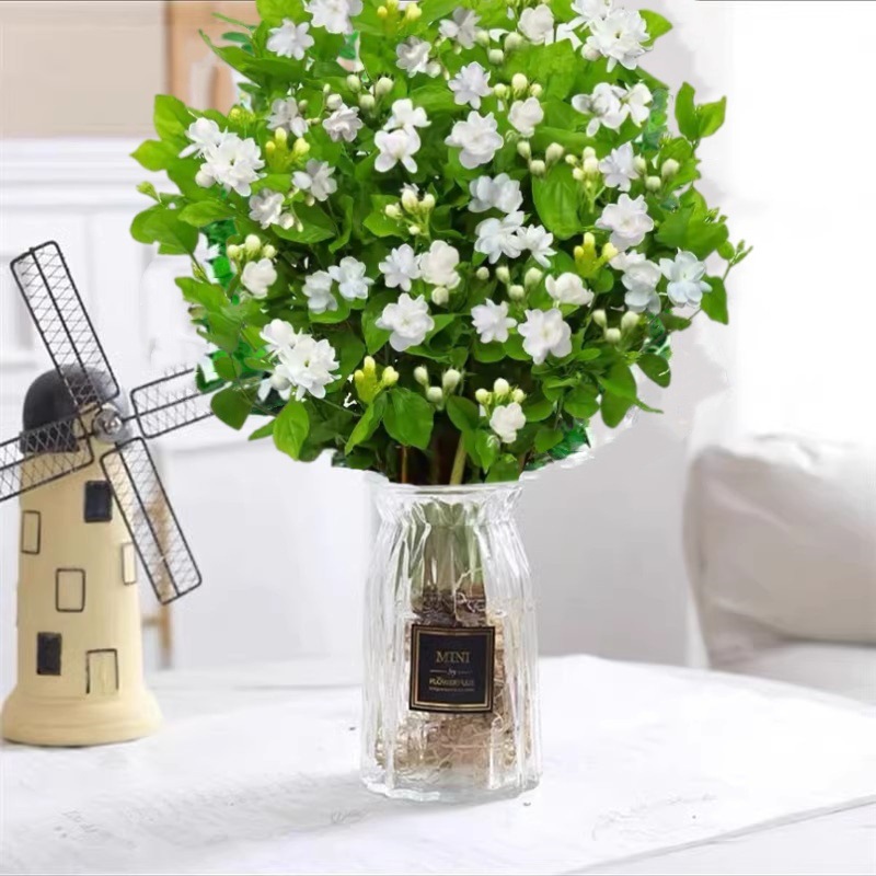 [수경 폭발 화분] 엄선된 자스민 꽃 10개(종이접기 흰색 유리병) 무료 크리스탈 머드