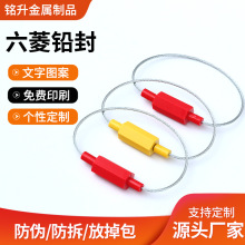 对插式铅封一次性钢丝封条防伪施封锁扣园林扎带集装箱物流铅封