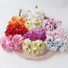 Сջ оpɫջ ^lb 72/