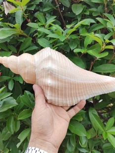 ��Ȼ���� ��ʿ���L���� ��̖�������ݴ�̖����ݚ�������