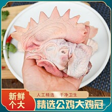 �ش�̖���u�^���u���u�^������u�^���u�^���u�^���u�^ɢ�B�u�^