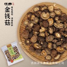 厂家直供 金钱菇 小香菇  滋补鲜美 山珍干货  250g/500g/袋