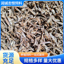 ����~���[�~�~���u���Z�iˮ�a�~�зС���r�Bֳԭ�����l60��