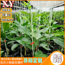 �S�ҹ����L��������U ֧�ΗU�r�I�ò�ؗU���ﲣ���w�S�U