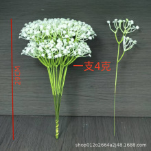 �羳&middot;��c�b�������M���� ������������� �҃ȵ��߼ٻ��Ĕz