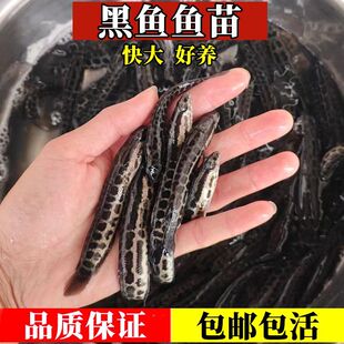 ���~����w��ˮ���k���~�缃�N���~��������ˮ�^�p�~Сؔ�~�����l