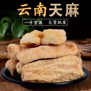 �������a�����l �t���� ����Ƭ ��؛��ș�� 500�� �ɴ��