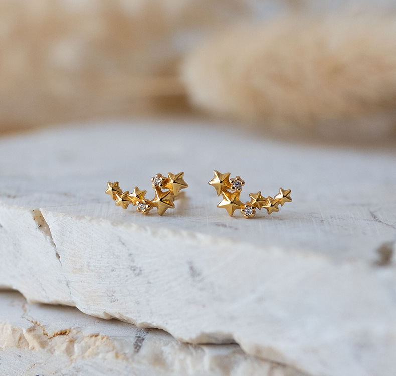 Zircon Inlay Material 1 Pair 925 Sterling Silver Zircon 925 Sterling Silver Earrings Star Ear Studs