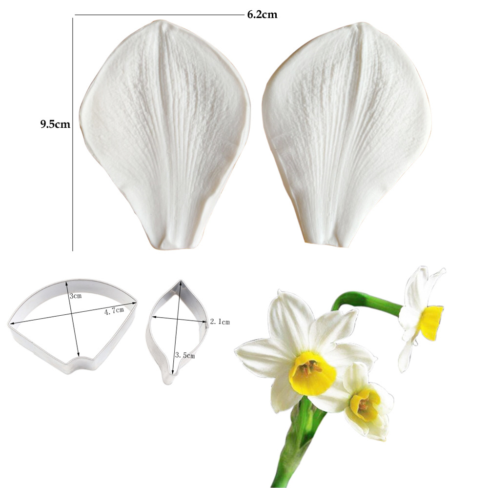 섹션 2 (수선화) M2123 SSM048