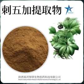 刺五加提取物B+E刺五加甙 1%到1.5%现货批发可试样刺五加提取物
