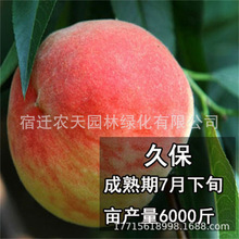 ѪҘ޽شˮϷNֲͥԺԮY