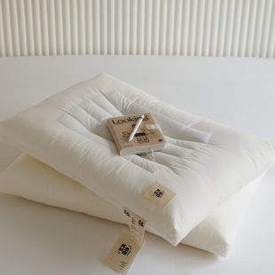 Tiaoqiu Pu plant maintenance buckwheat pillow cotton pillow pillow wholesale a generation of hair