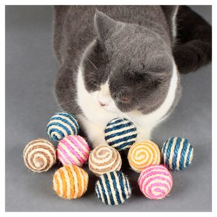 �羳���N؈����ߒ���\�ӄ���\�ȑҒ����Kë�������˽␞��ҧ