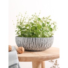 Copperweed flower pot Huizhou Narcissus bowl lily铜钱草花盆1