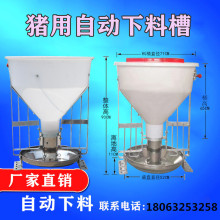 猪用干湿自动下料槽猪食槽干湿料槽80kg自动下料器食槽养殖场设备