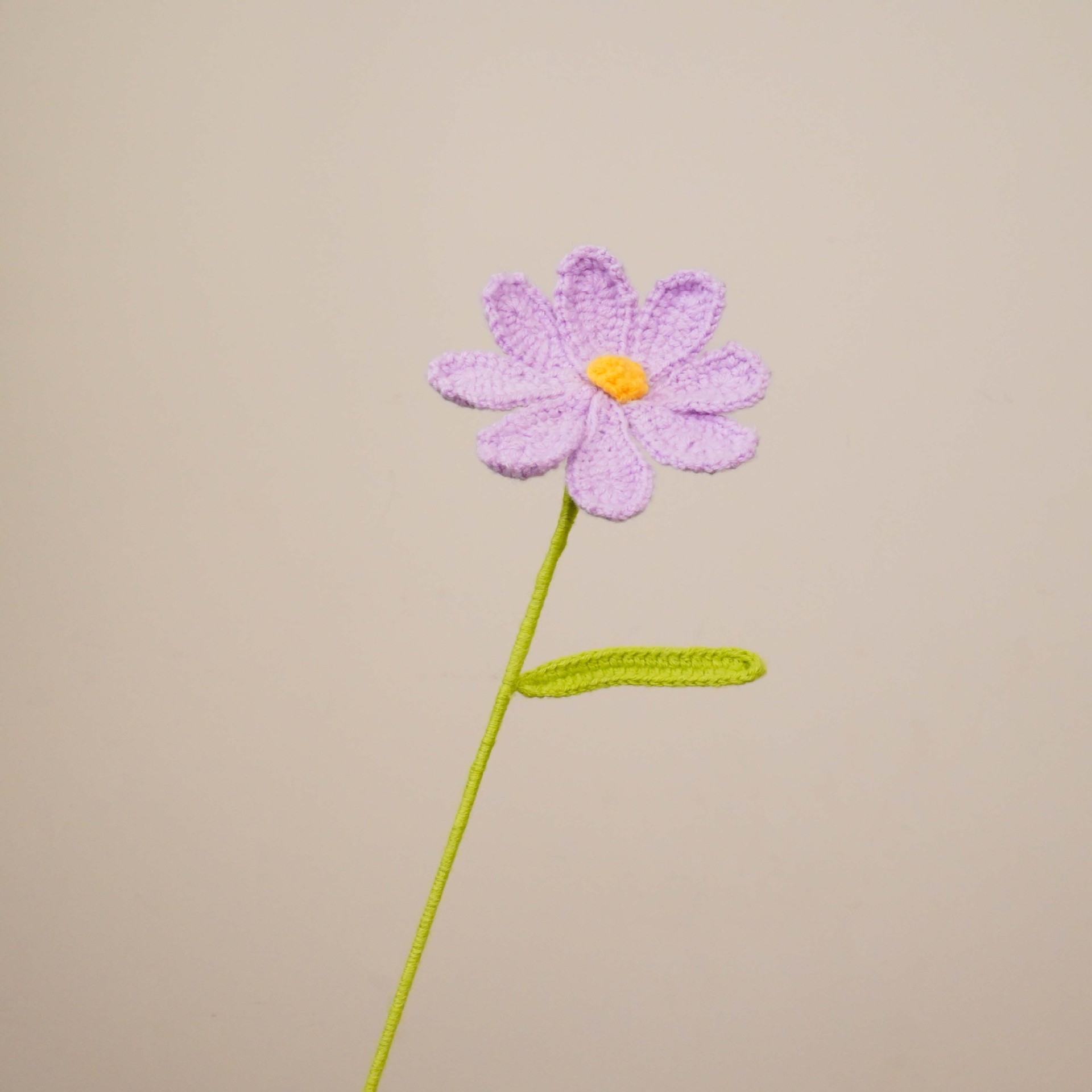 게상 꽃 보라색