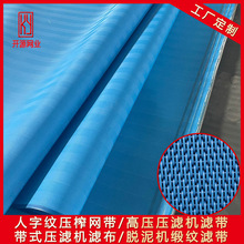 污泥脱水浓缩网带 脱泥机过滤布 耐磨污水处理滤带 聚酯网带滤布
