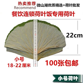 荷叶;代用/养生茶