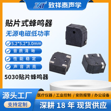 5030��Դ��Ƭ������3Vָ����5*5*3mmƫ�׻������µ��ʽ������