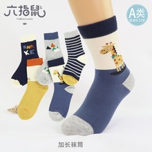 六指鼠儿童袜子批发25秋冬厚款精梳棉中大童男童婴儿长筒 A类厚棉