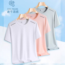 �羳���b�ļ�������z�ٸ��¶�����T��2026�곱��ӡ���A�I������