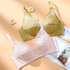 "Big Bust Shows Off Small" New Lace Push-up Sexy Breathable Bra for Women, Wholesale with Rabbit Ears, Ultra-thin Camisole