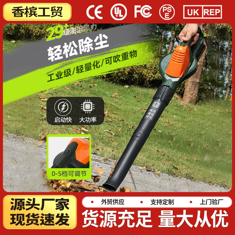 Трансграничный 21V высокая мощность литиевая электроэнергия штормовая машина наружный снегопад уносит листья ручной турбо фен сильная пыль