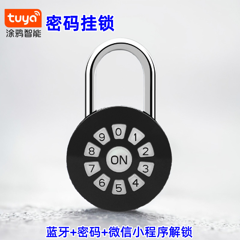 户外防水密码挂锁智能电子锁头远程室外仓库大门防盗涂鸦蓝牙挂锁