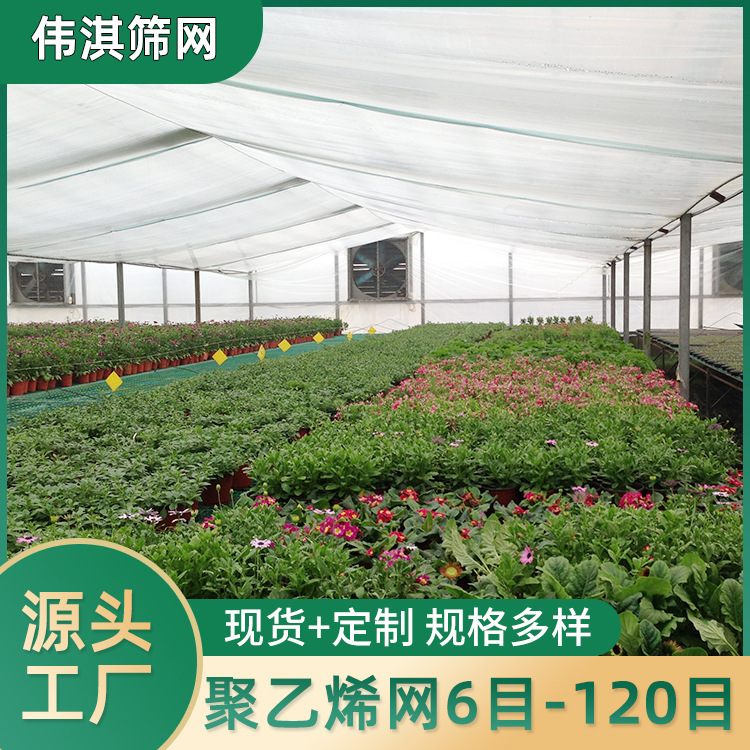新料抗老化防虫网 蔬菜防虫网 台州防虫网 农用防虫网