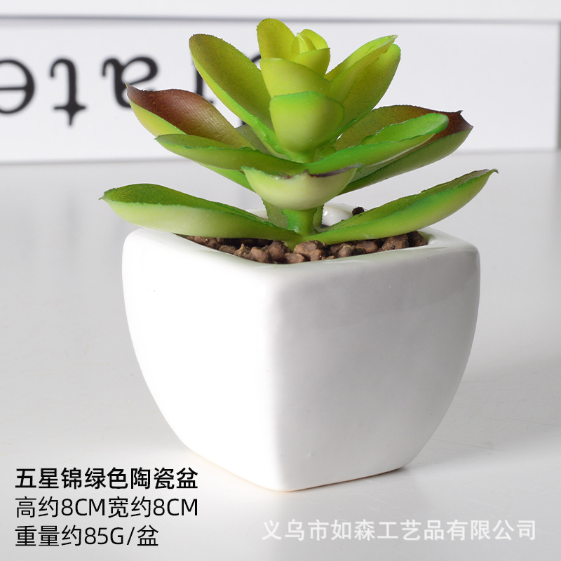 Simulación de cerámica bonsai de carne doméstica decoración de escritorio de oficina plantación verde maceta props de disparo maceta combinada artificial image 44
